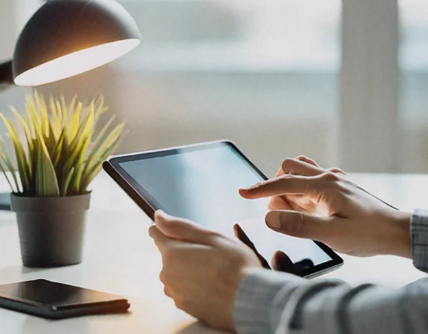 Cerca intuïtiva d'actius digitals - interfície de la plataforma mostrant resultats de cerca